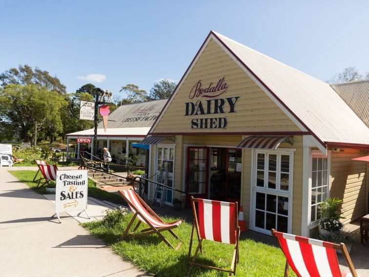 Dairy Shed