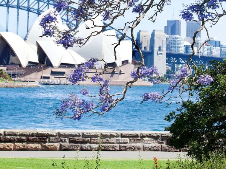 Royal Botanic Garden Sydney - Harbour View