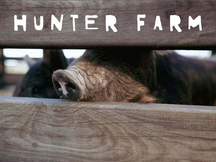 Hunter Farm activies