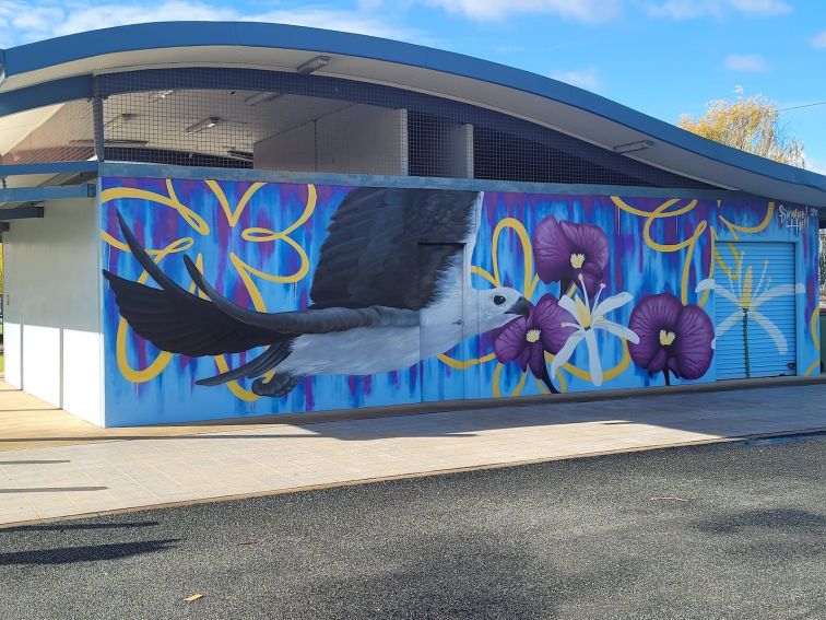 spray can mural of white bellied sea eagle flying on a blue back ground with purple and yellow flo