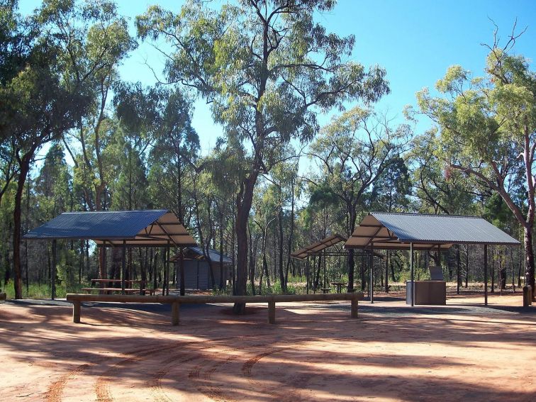 Pilliga Forest Lookout Tower