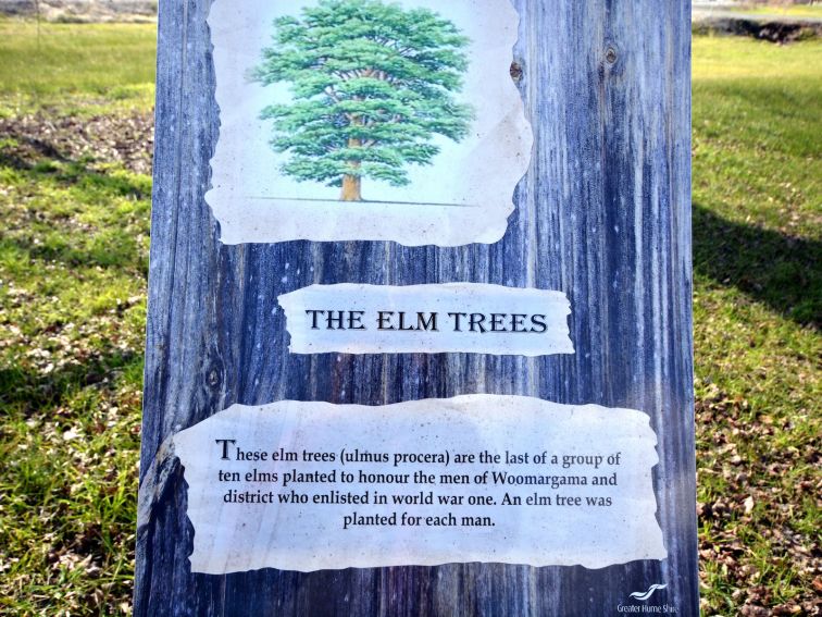 Elm Trees Sign