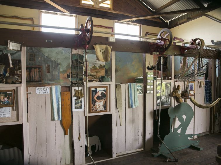 See the repplica shearing stand and chute at the museum