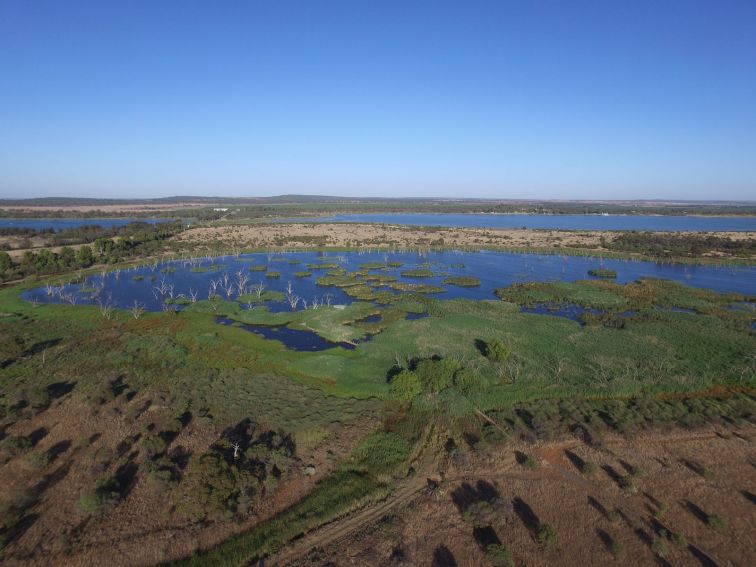 Campbell's Wetlands - Aerial View