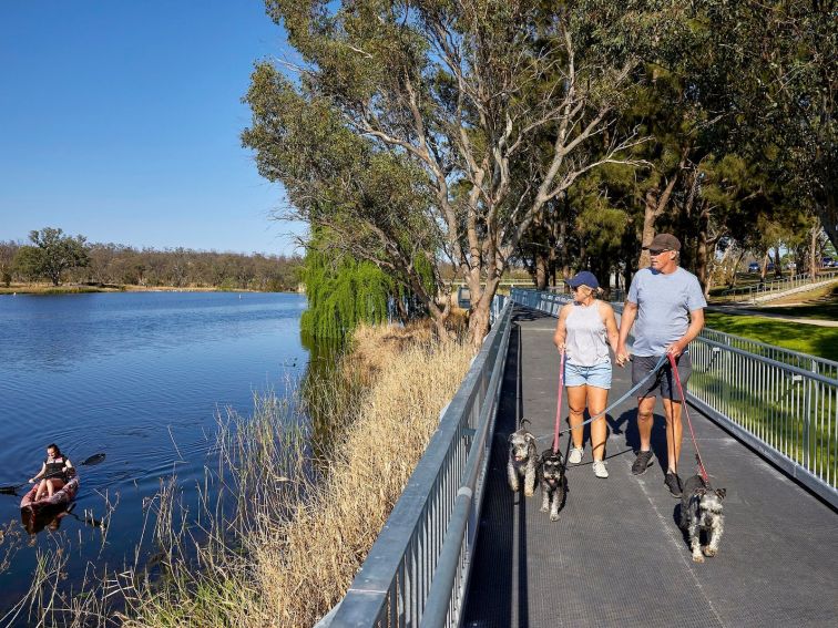 Two people walking dogs on boardwalk on right with kayaker on Lake Inverell on left