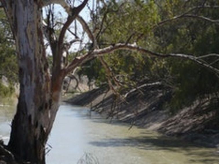 Darling River Run