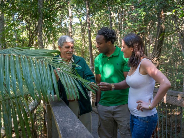 The boardwalk is best experienced with one of our knowledgeable guides