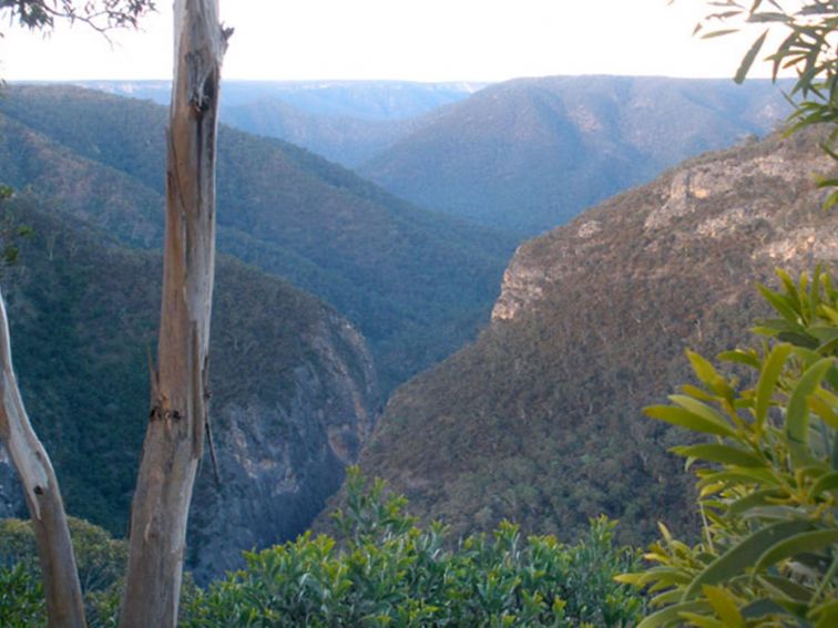Slot Canyon, Adams Lookout, Bungonia National Park. Photo: Audrey Kutzner/NSW Government