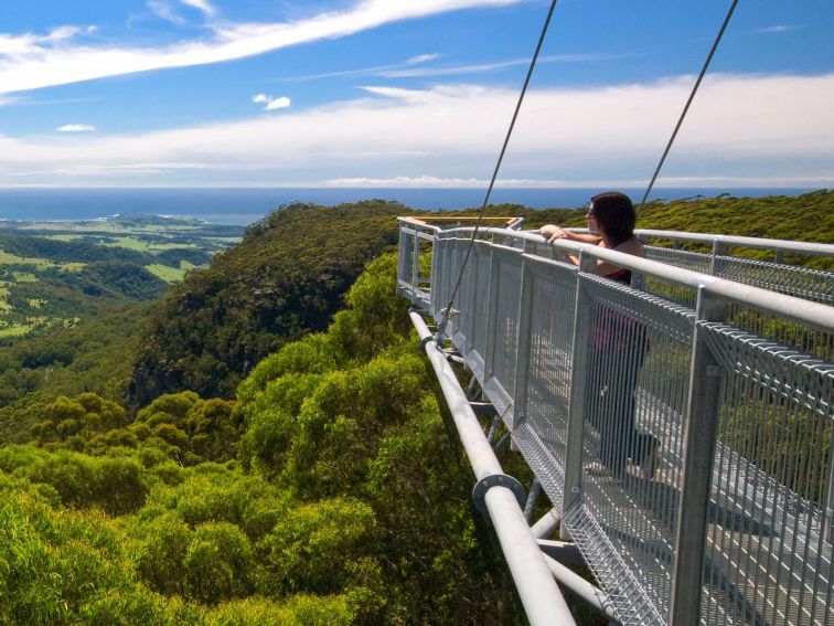 View from cantilever arm on Treetop Walk