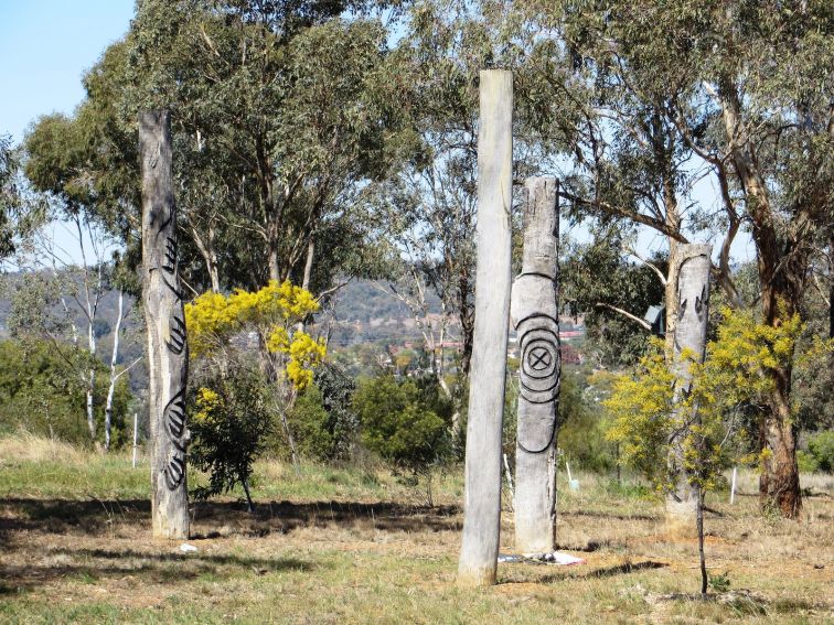 Pensioners Hill - Aboriginal Scar Trees and Totems