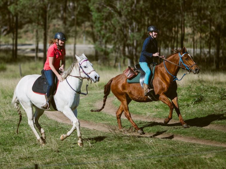 Horse Rides Sydney