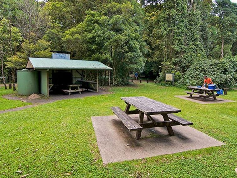 Picnic tables and shelter at Bar Mountain picnic area, Border Ranges National Park. Photo credit: