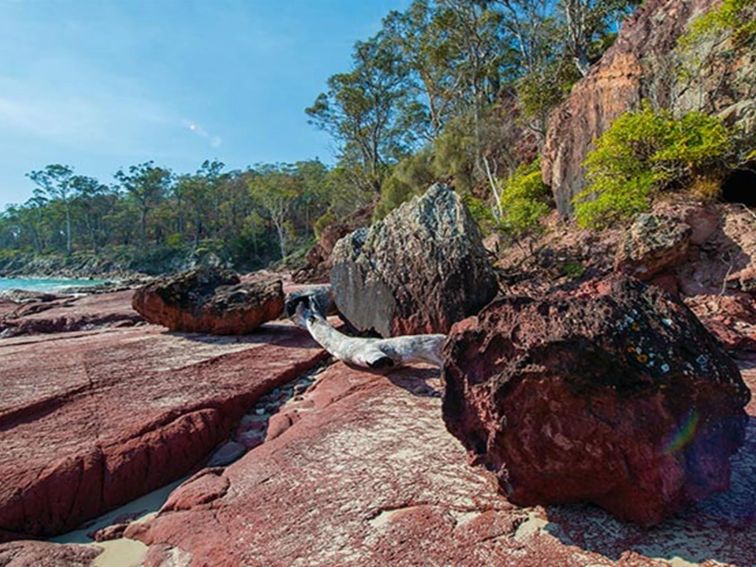 Colourful red rock shelf around Barmouth Beach in Beowa National Park. Photo: John Spencer/OEH
