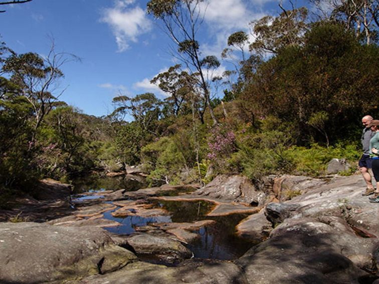 Stone Bridge, Barren Grounds Nature Reserve. Photo: John Spencer/NSW Government