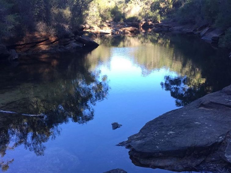View of shaded rocky ledges and pools along a freshwater creek, fringed by bushland.   Photo: