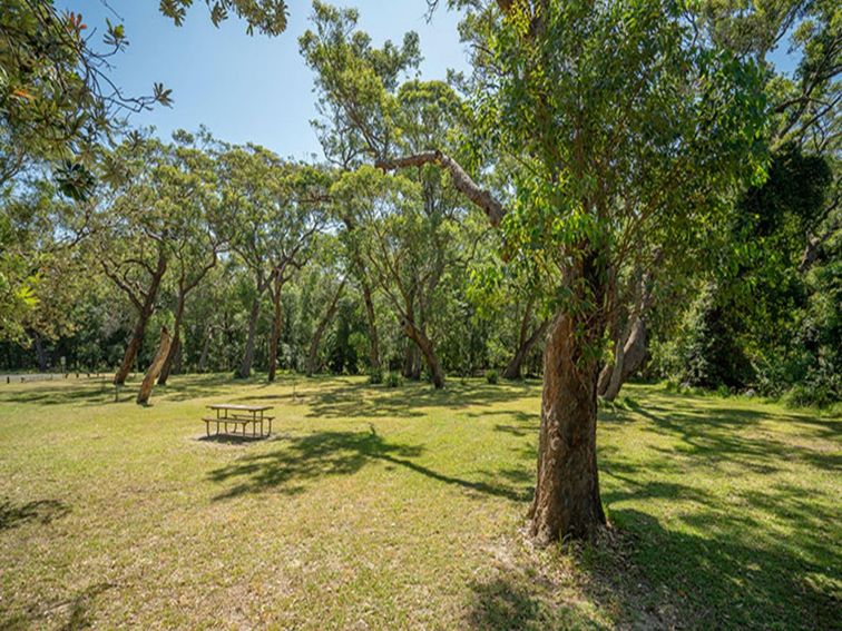A large grassy clearing with a picnic table at Beach Road picnic area, surrounded by trees in Seven