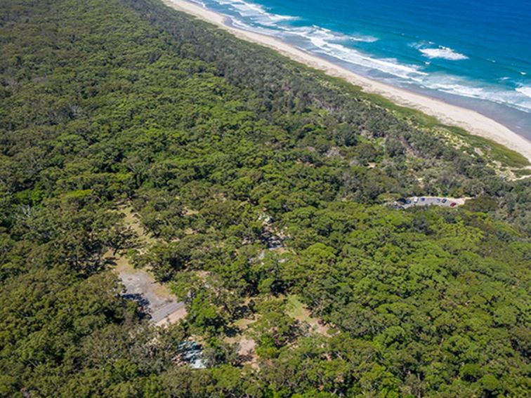 An aerial view of Beach Road picnic area surrounded by bush with the beach close by in Seven Mile