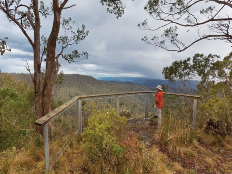 A man enjoying the view from Beech lookout in Cunnawarra National Park. Photo: Rob Clearly &copy;