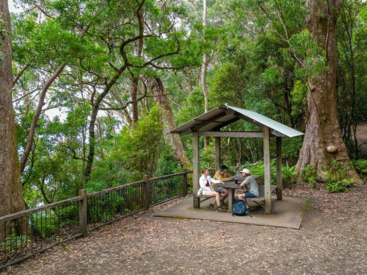 3 visitors sitting at a sheltered picnic table surrounded by large trees and forest at Blackbutt