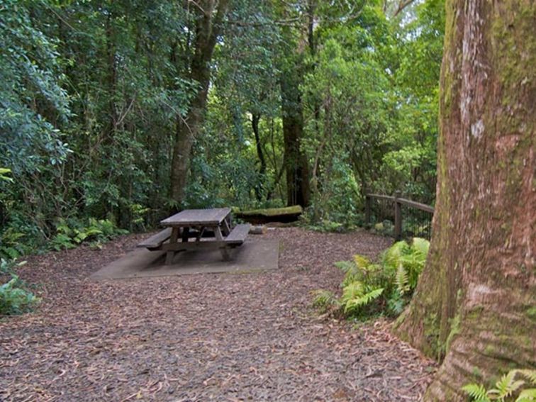 A picnic table surrounded by rainforest at Blackbutt lookout picnic area, Border Ranges National