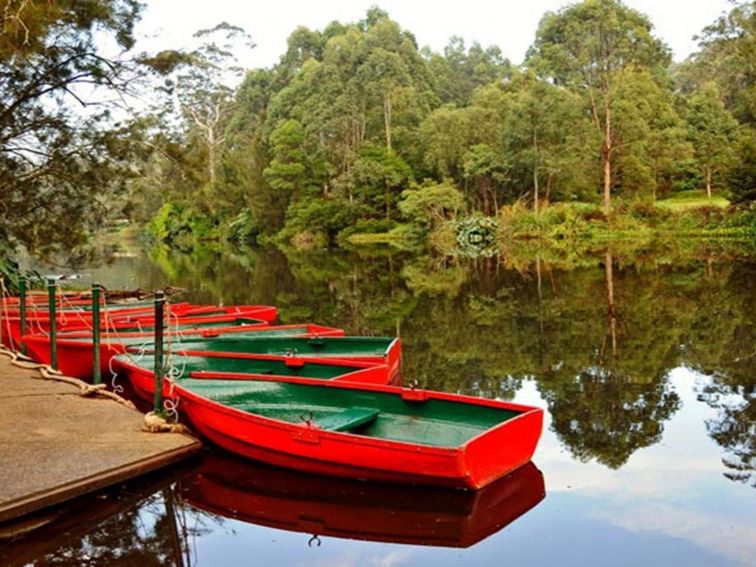 Red row boats moored at the boatshed, Lane Cove National Park. Photo: Kevin McGrath &copy; DPIE