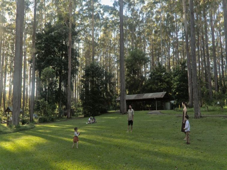 A family playing on the grass at Bongil picnic area in Bongil Bongil National Park. Photo: Simon