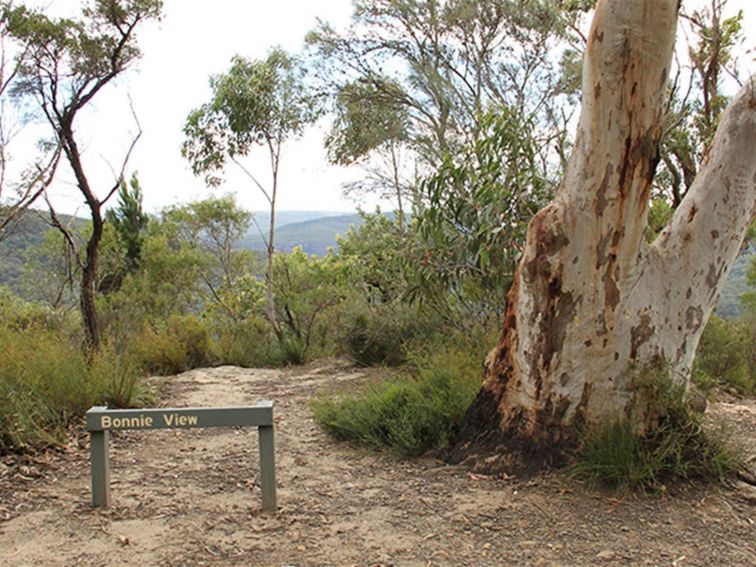 Sign for Bonnie View lookout, set in native bushland in Morton National Park. Photo: John Yurasek