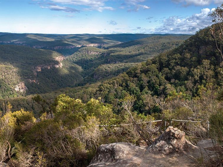 View from Bonnie View lookout over the rugged line of Bundanoon Creek in Morton National Park.