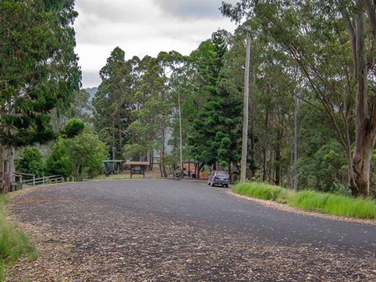 Sealed road and parking at Border Loop lookout and picnic area, Border Ranges National Park. Photo
