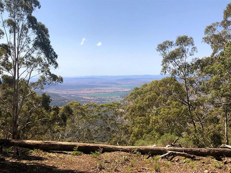 The view of Liverpool and Breeza plains from Breeza lookout in Coolah Tops National Park. Photo:
