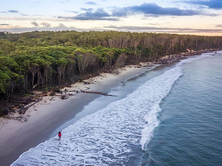 Aerial view of a woman walking along the tree-lined beach near Woody Head campground, Bundjalung