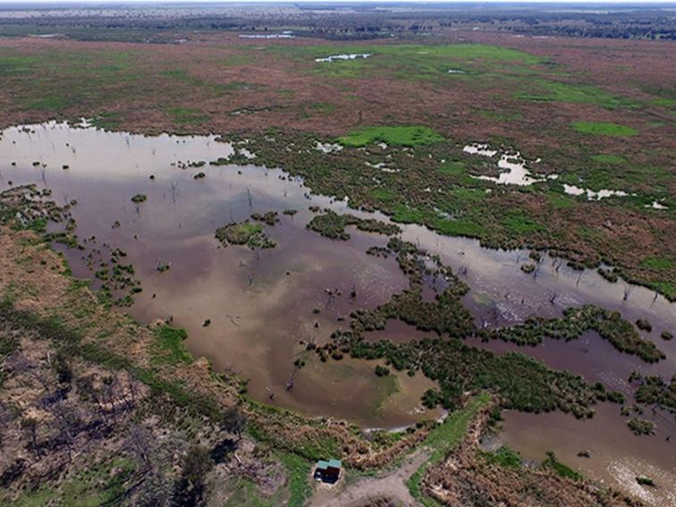 Aerial view of Waterbird Lagoon next to flooded water holes alongside with green and brown