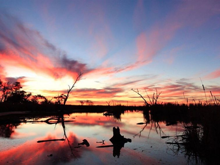 View of red and orange sunset sky over flooded waterhole and fringing plants. Photo: James Faris/OEH