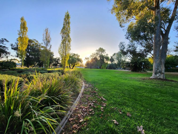 Burley Griffin Community Gardens