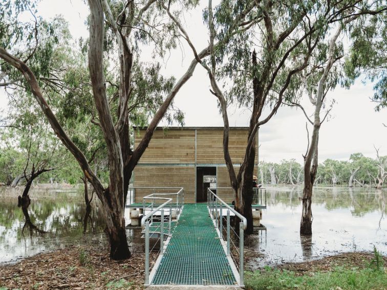 An accessible ramp leading up to a bird hide