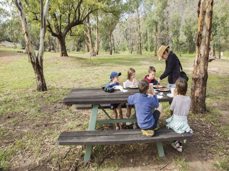 An adult and group of kids having lunch at a picnic table in Warrumbungle National Park. Photo: