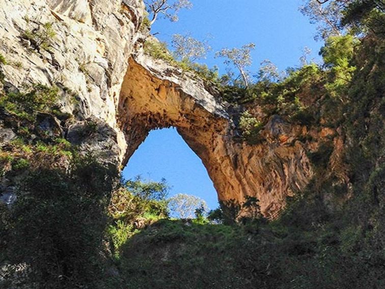 Looking up at Carlotta Arch from the walking track at Jenolan Karst Conservation Reserve. Photo: