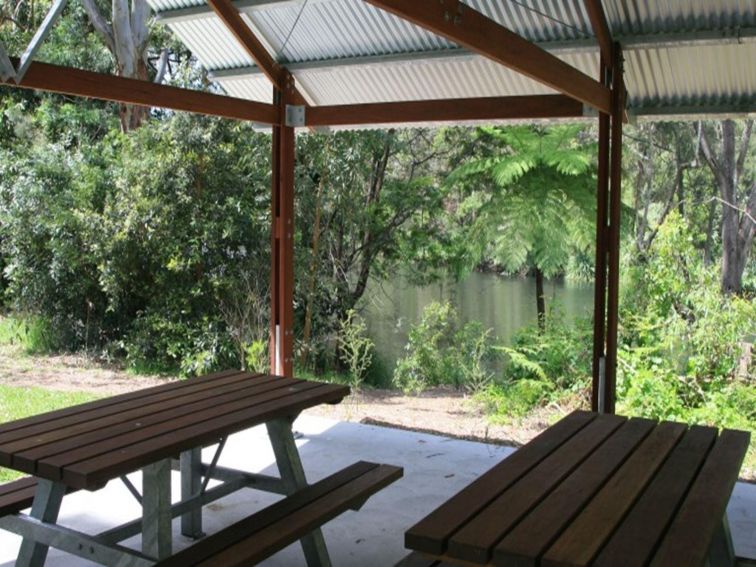 Picnic tables under a shelter at Casuarina Point picnic area in Lane Cove National Park. Photo: