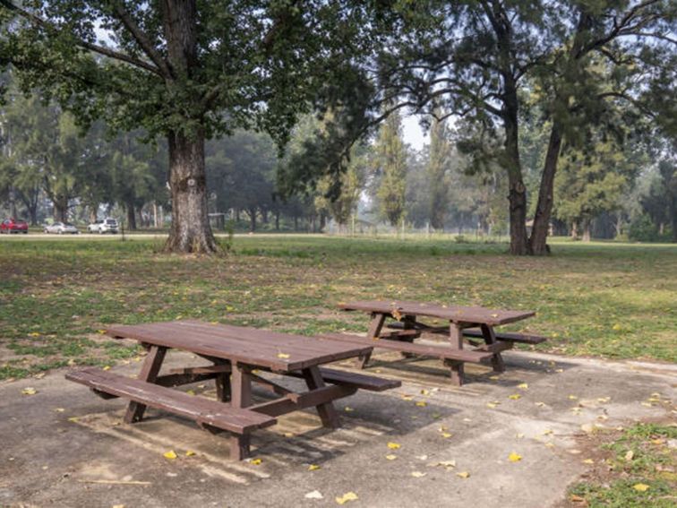 Two wooden picnic tables surrounded by open grassy areas at Cattai Farm picnic area in Cattai