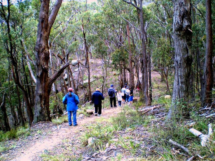 A group walking down Cox's Pass from Mt York to Hartley Vale