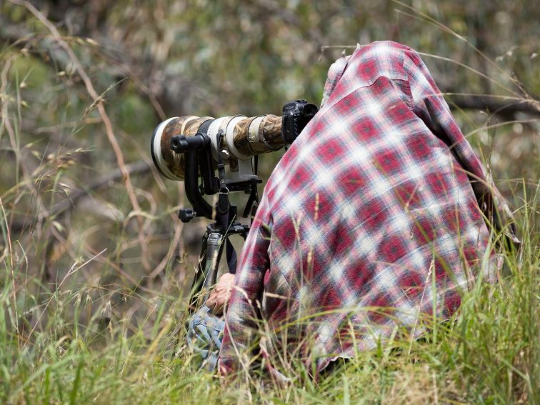 Photographer at Wonga Wetlands