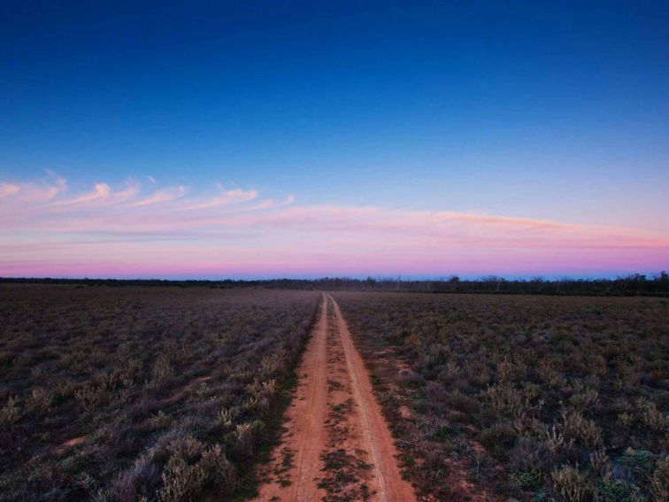 Follow the dirt track to Yanga National Park. Photo: David Finnegan.