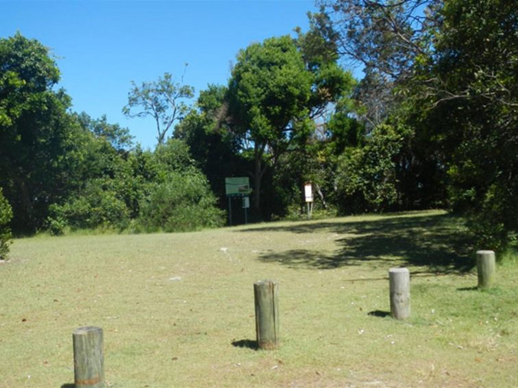 Cheesetree picnic area, Crowdy Bay National Park. Photo: Debby McGerty &copy; OEH