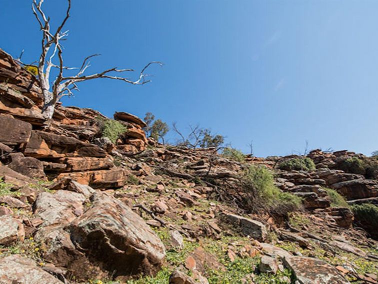 The rugged cliffs of the Cocoparra Range in Cocoparra National Park. Photo: John Spencer/DPIE