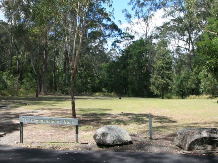 A grassy area surrounded by trees at Commandment Rock picnic area in Lane Cove National Park. Photo:
