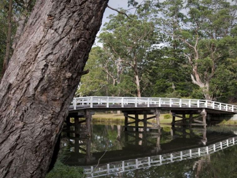 A bridge over the Hacking River at Currawong Flat picnic area in Royal National Park. Photo: Nick