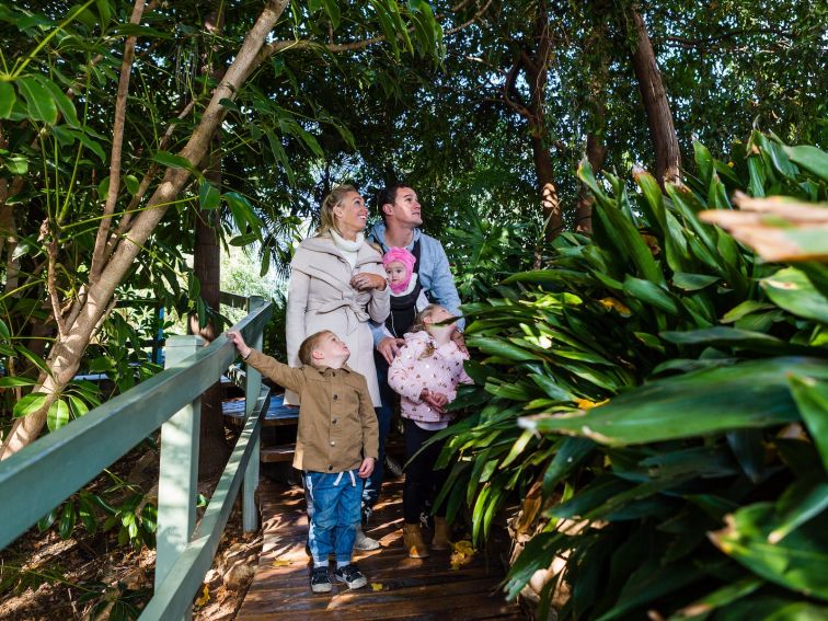 Family, Rainforest area, Wagga Wagga Botanic Gardens