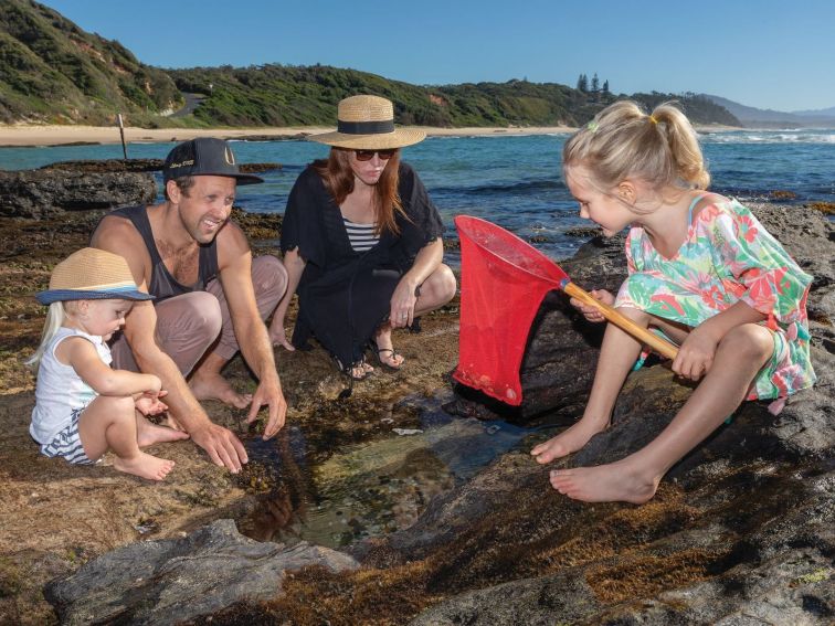 Young family exploring the rock pools at Shelly Beach