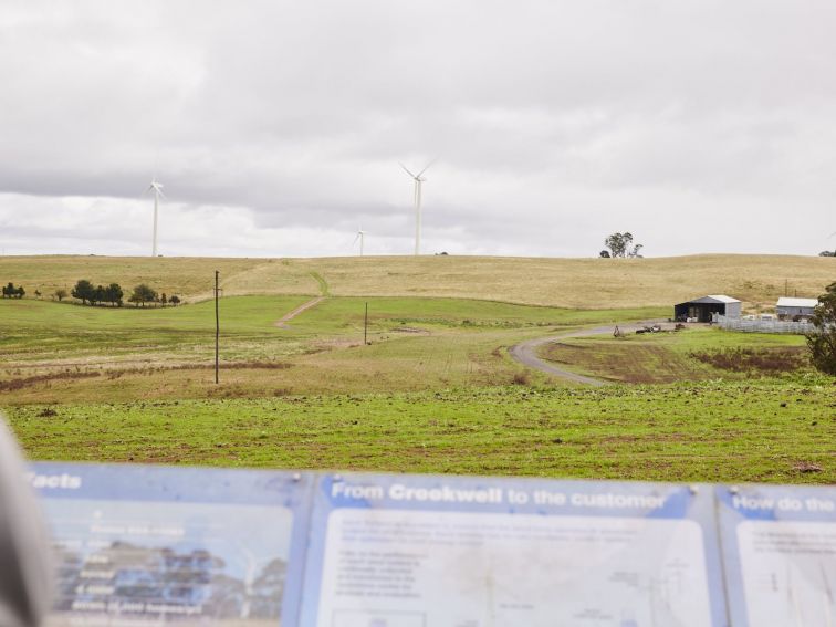 Landscape shot of wind farm paddocks