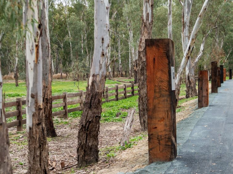 forest walk with red gum pillar depicting information